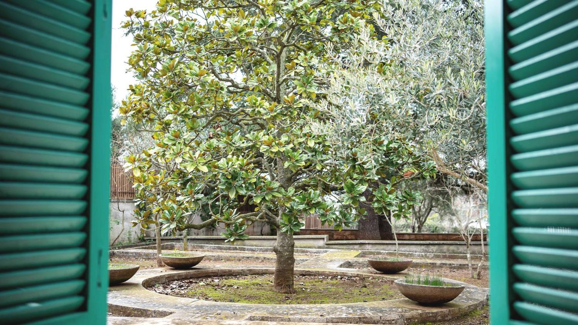 Borgo Lucia Selva Di Fasano Exterior foto